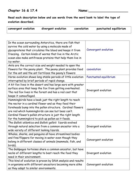 types of evolution practice worksheet answers
